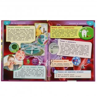 Энциклопедия с развивающими заданиями "Мир под микроскопом", 48 страниц фото книги 4