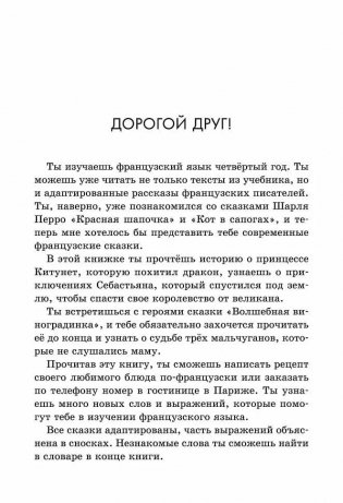 Современные французские сказки фото книги 2