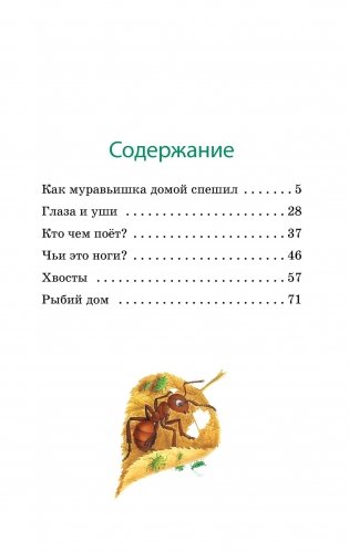Как Муравьишка домой спешил фото книги 2