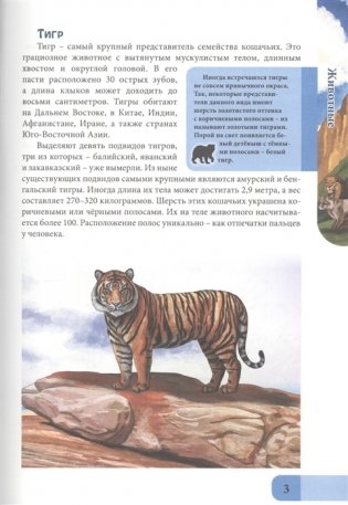 Энциклопедия. Хищники фото книги 4