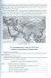 История Беларуси в контексте всемирной истории. Опорные конспекты. 10 класс фото книги маленькое 6