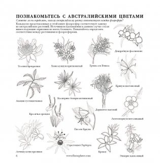 Флоросфера. Вдохновение фото книги 4