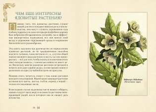 Яды. Секретная сила растений фото книги 4