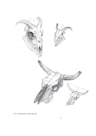 Рисунок. Основы учебного академического рисунка фото книги 6