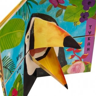 Путаница. В джунглях фото книги 4