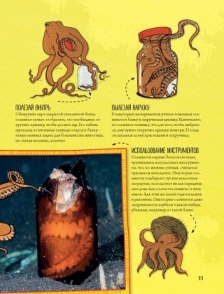 Энциклопедия животных: на суше, под водой и в воздухе фото книги 10