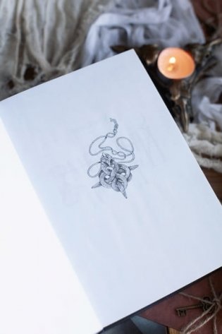 Змеиный крест фото книги 5