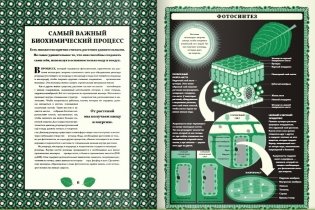 Мир растений фото книги 4