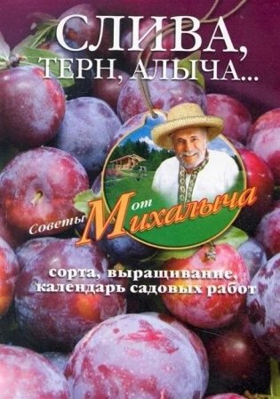Слива, терн, алыча... Сорта, выращивание, календарь садовых работ фото книги