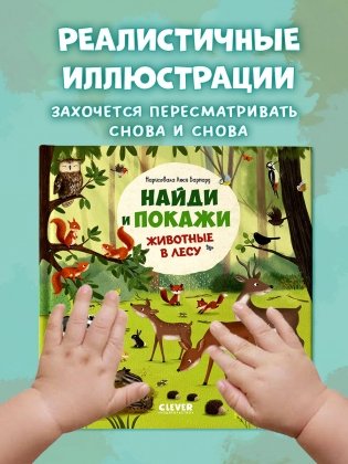Найди и покажи. Животные в лесу фото книги 8