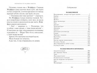Всё о Малыше Николя фото книги 8