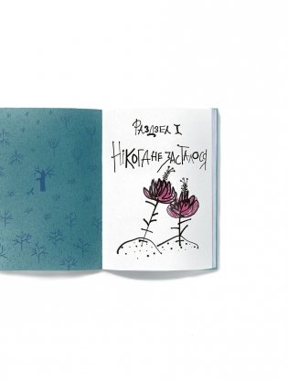 Таямнічы сад фото книги 3