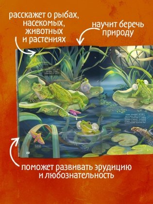 Секреты животных озера. Визуальная энциклопедия фото книги 2