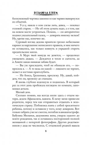 Академия магических близнецов фото книги 9