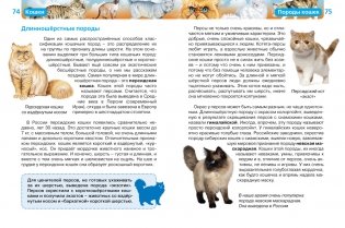 Кошки фото книги 3
