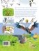 Птицы фото книги маленькое 3