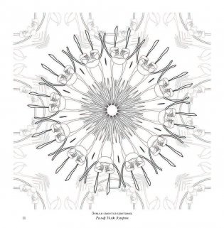 Флоросфера. Вдохновение фото книги 9