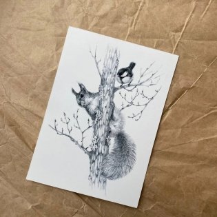 Открытка "Иду по тайге. Белка" фото книги 2