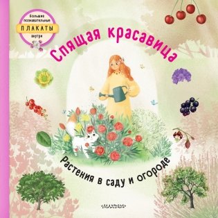 Спящая красавица фото книги