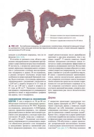 Косметическая дерматология. Принципы и практика. Руководство фото книги 10