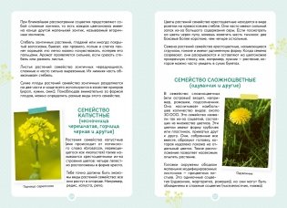 Растения вокруг нас фото книги 8
