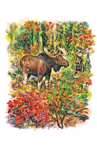 Кто живёт в лесу? фото книги 3