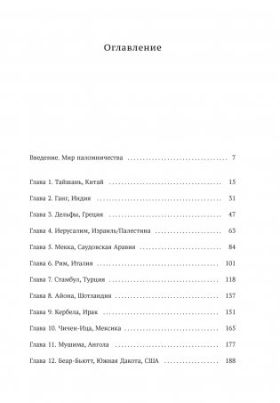 Мировые религии и культы: главные святыни. От паломничества до религиозного туризма фото книги 2