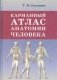 Карманный атлас анатомии человека фото книги маленькое 2