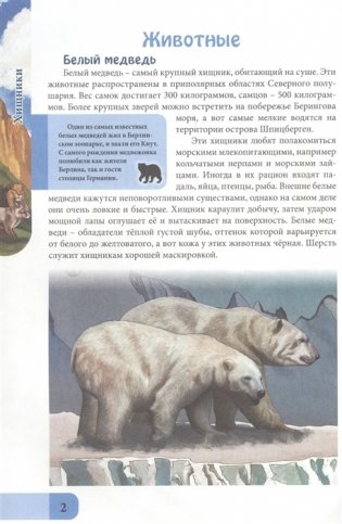 Энциклопедия. Хищники фото книги 3