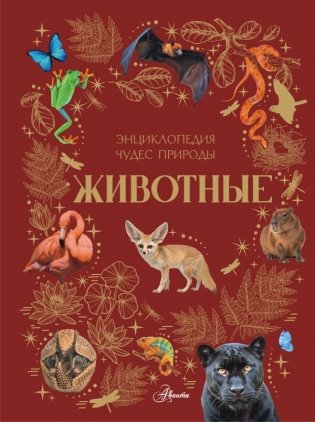 Животные фото книги