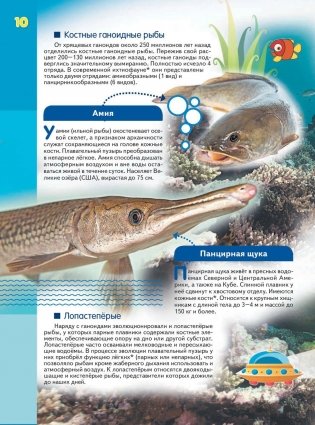 Эра динозавров фото книги 11