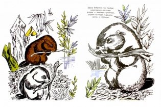 Альбом для раскрашивания. На реке фото книги 2