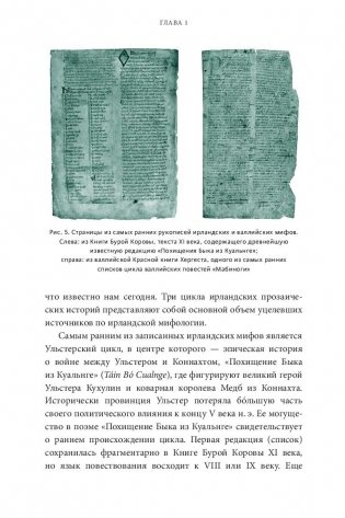 Кельтские мифы. От Короля Артура и Дейрдре до фейри и друидов фото книги 18