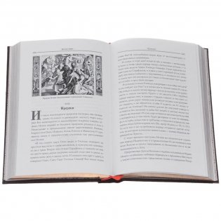 Семейная библия фото книги 3