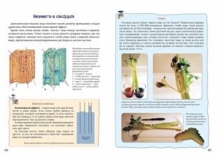 Нескучная биология с задачами и решениями фото книги 4