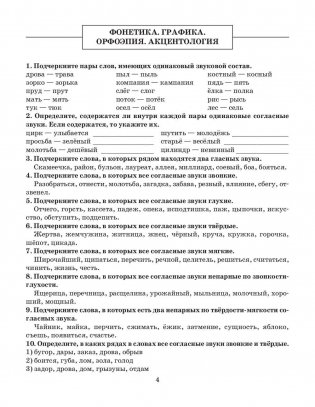 Готовимся к олимпиаде по русскому языку: лингвистический конкурс. 9–11 классы фото книги 4