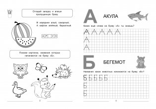 Пишем буквы от А до Я. Много-много печатных, прописных и строчных букв фото книги 2