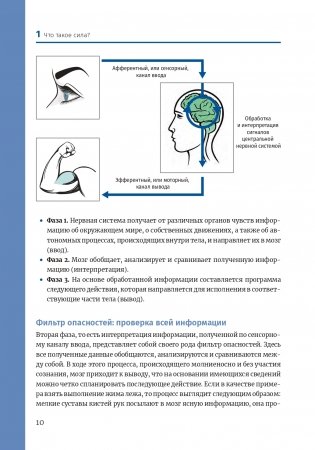Нейроатлетика для оптимизации силовых тренировок: сила зарождается в мозге фото книги 9