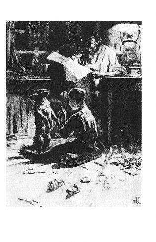 Каштанка. Рассказы (ил. М. Белоусовой, Д. Кардовского) фото книги 12