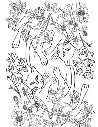 Кототерапия. Раскраска-антистресс для взрослых фото книги 3