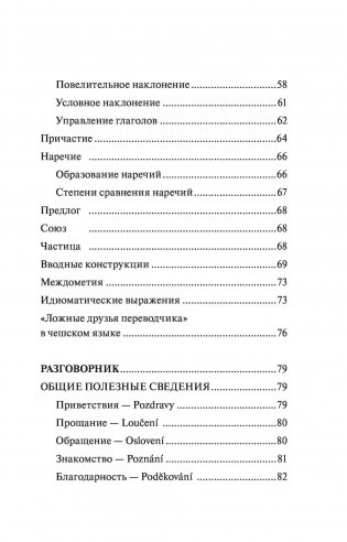 Чешский язык. 4-в-1: грамматика, разговорник, чешско-русский словарь, русско-чешский словарь фото книги 5