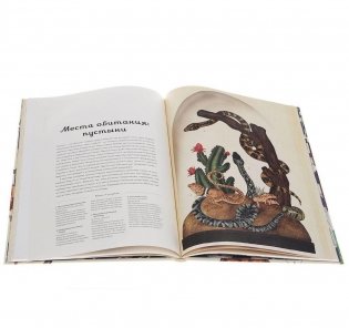Анималиум фото книги 3