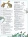 Большая детская энциклопедия фото книги маленькое 9