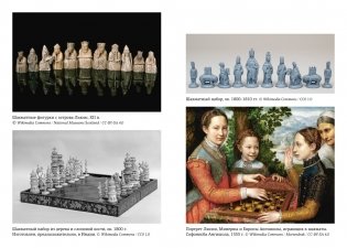 Рождение шахматной королевы: Власть и триумф женщин, правивших на доске и в жизни фото книги 4