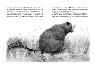 Кот-ворюга. Рассказы и сказки фото книги 4