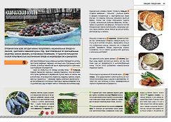 Камчатка. Современный путеводитель фото книги 4