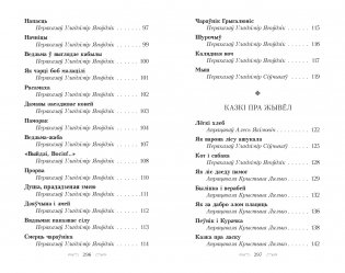 Зачараваны замак. Легенды, паданнi, казкi, песнi фото книги 5