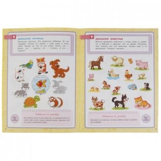 Окружающий мир. Школа Жуковой. Годовой курс фото книги 4