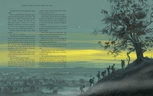 Harry Potter and the Goblet of Fire фото книги 5