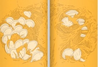 14 лесных мышей. Тыква фото книги 2